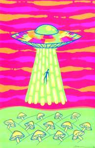 the saucer- birdtrash