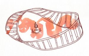 leviathan - birdtrash